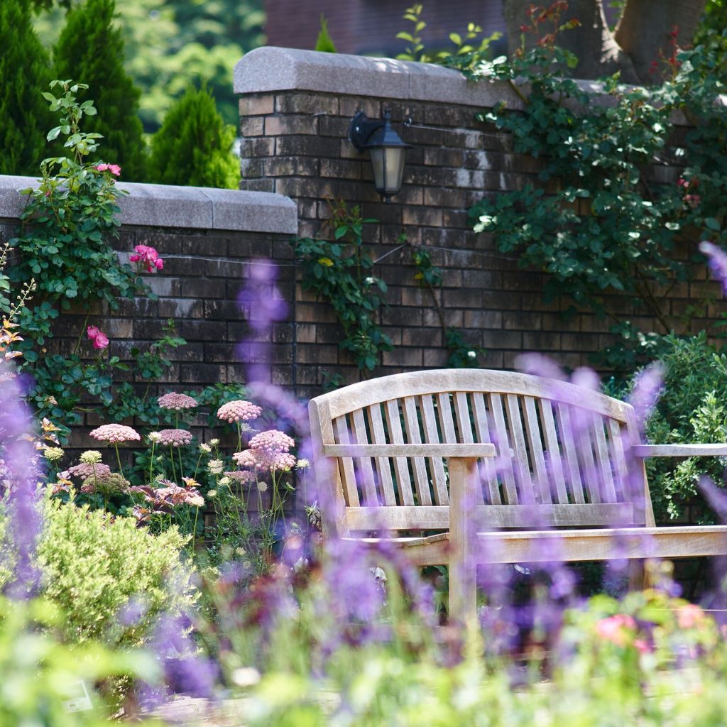 Návrh bez názvu (89)